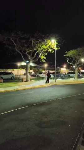The video captures an outdoor scene at night, illuminated by streetlights. Two individuals, one in a light-colored outfit and the other in dark clothing, stand near a tree and a streetlight. Behind them, a parking lot filled with cars is visible, with more lights in the distance. The ground in the foreground is asphalt, with a curb and sidewalk bordering the parking area. One person appears to be gesturing or moving their arms, while the other stands relatively still. The overall atmosphere is calm and ordinary, suggesting a casual moment captured at dusk or after dark.