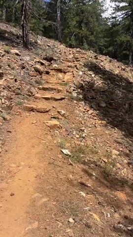 A low-angle, forward-moving shot shows a rocky, upward-sloping dirt path in a forest. Several rough-hewn stone steps are built into the path. The ground is covered in loose rocks and reddish-brown dirt. Tall, slender pine trees with dark green needles are visible on either side of the path and in the background. The sky is bright blue with some white clouds. Sunlight casts shadows across the path and the surrounding hillside. The scene appears to be a hiking trail in a mountainous or forested area.