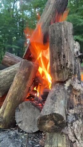 A close-up shot focuses on a bonfire in a forest clearing. The fire crackles and burns brightly, illuminating the surrounding logs. The logs are stacked in a pyramid shape, with some logs showing char marks from previous fires. The background is a blur of green trees, suggesting a natural, outdoor setting.