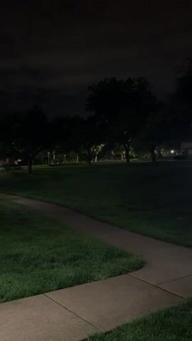 A paved path curves through a grassy area at night. Trees with dark silhouettes are visible in the background, with some illuminated by distant lights. The sky is dark and cloudy.