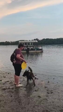 A person is standing on a muddy shore next to a body of water, about to throw a frisbee. A dog is running towards the water's edge. In the background, there are two boats on the water and trees lining the far shore. The sky is overcast with some clouds. The person throws the frisbee, and the dog runs into the water after it, splashing. The dog appears to be swimming and retrieving the frisbee. The second boat in the background is a small motorboat. The first boat appears to be a larger, multi-level boat.