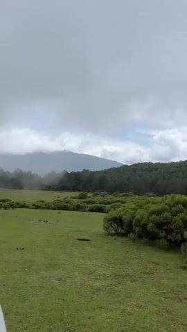The video shows a landscape with green fields, trees, and mountains under a cloudy sky. It also shows the inside of a pickup truck filled with camping gear, including backpacks, sleeping bags, and a tent. A person's hand is holding a camera and a boot is visible. The camera appears to be a Sony Alpha series.