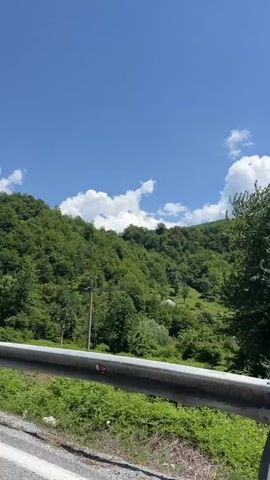 The video shows a view of a lush green mountainside under a bright blue sky with scattered white clouds. A metal guardrail runs along the bottom of the frame, separating the viewer from the vegetation. In the middle ground, power lines can be seen strung between utility poles as they ascend the slope. The foreground is filled with dense green foliage, including ferns. The camera appears to be moving, as evidenced by the slight shift in perspective and the dynamic nature of the foliage. The overall scene depicts a natural, mountainous environment on a sunny day.