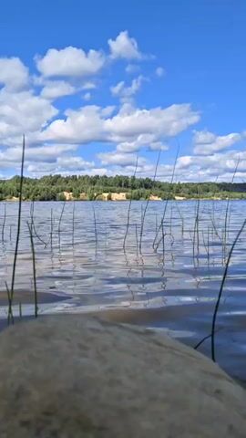 A low-angle shot shows a calm body of water with reeds growing from it. A large, light-colored rock is in the foreground. In the background, a tree-lined shore with sandy cliffs is visible under a bright blue sky dotted with fluffy white clouds. The water reflects the sky and clouds.
