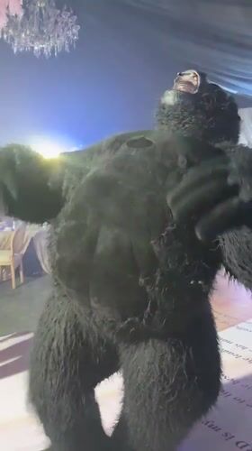 Gorilla costume steals the floor at an Abuja event