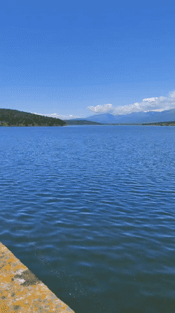 Peaceful morning scene captured at Bulgaria's Koprinka Lake