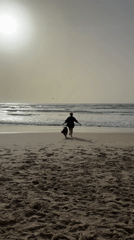 Person and dog walk toward ocean on Bat Yam beach