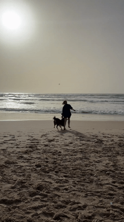 Person and dog walk toward ocean on Bat Yam beach