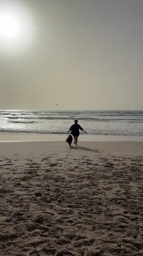 Person and dog walk toward ocean on Bat Yam beach