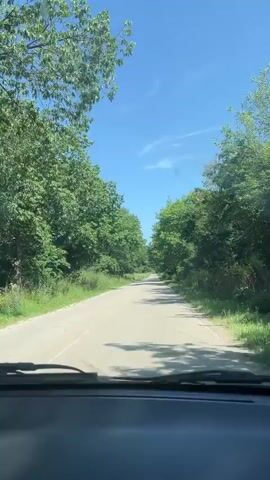 The video shows a first-person perspective from inside a vehicle driving on a paved road through a tree-lined area. The road is asphalt with a white line marking the center. On either side of the road, there is lush green grass and dense foliage from tall trees. The sky is bright blue with some wispy clouds. The sun is shining, casting shadows on the road. The view is consistent throughout the short clip, showing the road stretching ahead and the surrounding greenery. The camera appears to be mounted on the dashboard, looking forward through the windshield, with a portion of the car's interior visible at the bottom of the frame. There are no people or other vehicles visible in the immediate vicinity. The environment suggests a rural or natural setting.