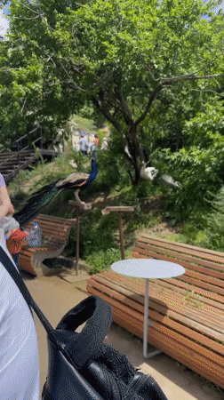 Tourists visit cave rock formation in Kislovodsk park