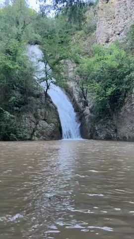 The video presents a stationary wide shot of a waterfall flowing into a body of water. The water at the base of the waterfall is muddy brown. The waterfall is framed by rocky cliffs and lush green vegetation. A slender tree stands near the base of the waterfall. The overall lighting is soft, suggesting an overcast or partially shaded environment. The scene conveys a sense of natural beauty and tranquility.