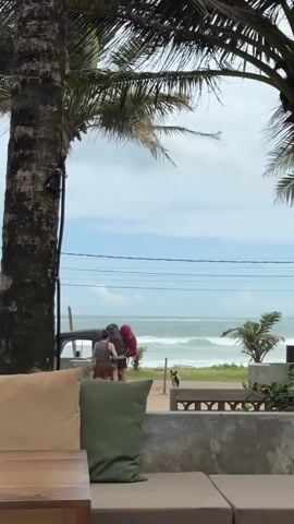 A group of people with backpacks are near a tuk-tuk on a paved area beside a beach. The ocean has moderate waves. Palm trees frame the scene from the foreground. A dog is visible on the grass area.