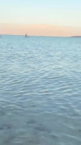 This media file captures a serene scene of a body of water, likely a lake or sea, under a clear sky. The water is calm with gentle ripples, reflecting the soft hues of the sky, suggesting it's either sunrise or sunset. In the distance, a person is visible, appearing to be in the water, their form silhouetted against the horizon. The background shows a distant shoreline with what appears to be some structures or natural landforms, possibly mountains. The overall impression is one of tranquility and natural beauty, with a touch of human presence in the vastness of the landscape. The location context provided indicates this scene is from the Tamar Regional Council in Israel. There is no visible text in the media file.