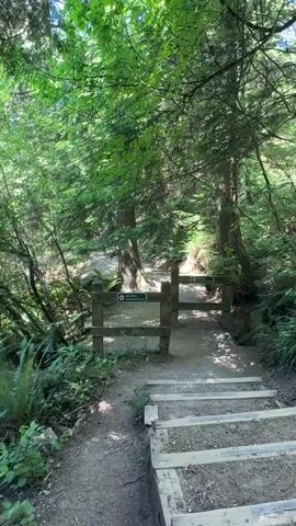 A video shows a wooded hiking trail with wooden gates and stairs. Signs on the gates read "NO PETS beyond this point". The trail appears to be well-maintained with gravel and wooden steps. Lush green foliage surrounds the trail, suggesting a temperate climate. Sunlight filters through the trees, creating dappled light on the path. The video is shot from a first-person perspective, implying the viewer is walking on the trail. No people or animals are visible in the video.
