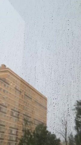 The video shows a view through a window on a rainy day. Raindrops are visible on the glass, distorting the view of the scene outside. In the background, a multi-story building with a beige facade and numerous windows is partially visible. Trees with green foliage are present in the foreground and to the right of the building. The sky appears overcast and gray, consistent with rainy weather. The scene is static, with no discernible movement beyond the raindrops on the glass.