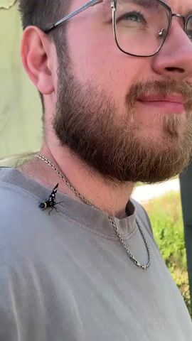 A close-up shot shows a man with glasses and a beard wearing a gray t-shirt and a silver chain. A small black and yellow insect with spotted wings is perched on his t-shirt near his neck, close to the chain. The man appears to be looking upwards and slightly to his right. The background is slightly blurred, showing greenery and a light-colored wall or structure. The insect is stationary.