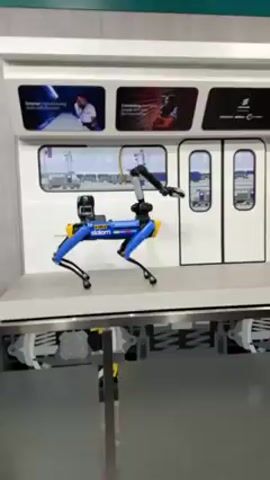 A robotic dog paces back and forth on a platform in front of a model of a train car. The dog is blue with black and yellow markings. It has a camera mounted on its back. The train car model has windows showing a train yard and doors on one side. Above the windows are three square displays with images. Below the platform is a depiction of the train's wheels. A person holding a phone is visible in the background to the left of the robotic dog.