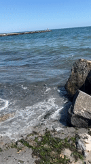 A calm summer morning on Odesa's Black Sea shore