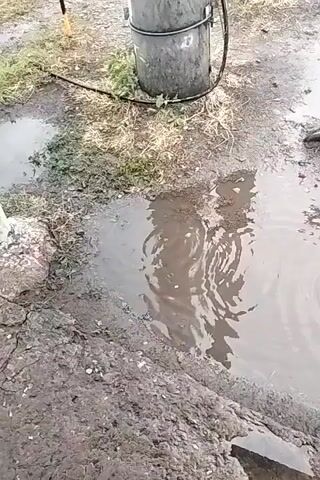 A murky puddle is seen on the ground. Raindrops are falling into the puddle, creating ripples on the surface. A gray, cylindrical object is visible in the background, along with dry grass and dirt.