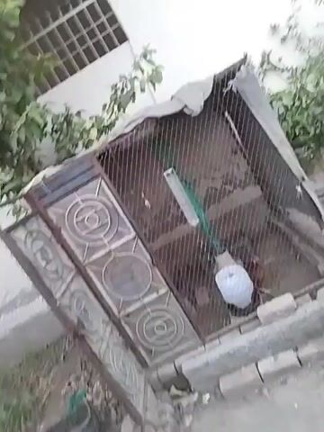 The video shows a cage-like structure in an outdoor area. The structure is made of wire mesh and metal bars, with a slanted roof. Inside the structure, there is a white bucket-like container. The surrounding area consists of vegetation, including grass and small trees, and some building materials. The camera is handheld, causing some shakiness and movement in the video. The overall setting appears to be a backyard or garden area.