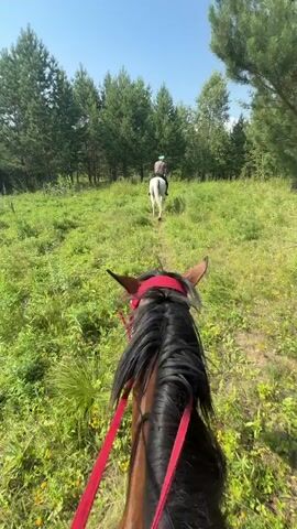 The video begins with a POV shot from horseback, looking towards another horse and rider in the distance. They are on a grassy path surrounded by trees. The camera then pans to the right, showing trees and shadows on the ground. The next shot is a selfie from horseback, with a woman wearing sunglasses and a white top holding a riding helmet. She turns her head to the right, and the video ends.
