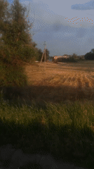 Golden hour hangout, open fields, poppies, and easy evening vibes