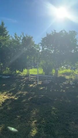 The video shows a backyard scene on a sunny day. The sun is bright and positioned high in the sky, casting strong shadows across a lawn. There are several trees in the yard, some with dense foliage, and a few small structures that appear to be gardening-related, such as a raised garden bed and possibly a greenhouse or cold frame. The overall impression is one of a rural or suburban backyard in the summertime, with natural light dominating the scene. No people or animals are visible.