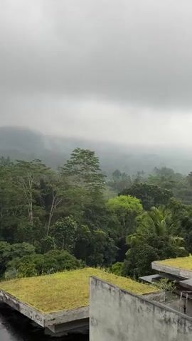 A high-angle, vertical shot shows a dense, lush green forest with mist blanketing the background hills. In the foreground, two concrete structures with flat, green, moss-covered roofs are visible. The sky is overcast with heavy grey clouds. The overall atmosphere is serene and tranquil.