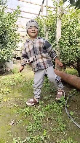 The video shows a small child standing in a greenhouse. The child is wearing a grey and brown plaid jacket with a hood, grey sweatpants, brown shoes, and a grey and black striped beanie. The child smiles at the camera and moves closer. The video ends with a close-up of the child's cheek and chin, followed by a view of the zipper on the child's jacket. The greenhouse contains several small trees and green vegetation on the ground. A long, brown cylindrical object lies on the ground to the right of the child. The greenhouse structure is visible overhead.