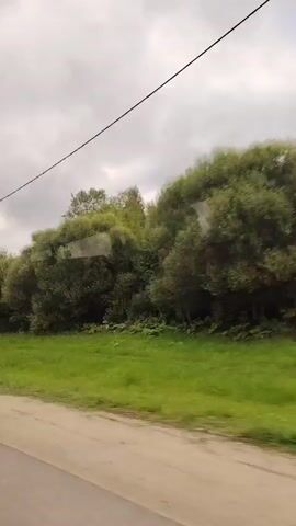 The video shows a view from a moving vehicle, likely a car or bus, looking out a window. The scene is dominated by lush green grass and trees that line a dirt road. A power line is visible overhead, stretched across the cloudy sky. A utility pole with black and white stripes is also seen on the right side of the frame. The overall atmosphere is calm and rural, with no people or animals visible in the shot.