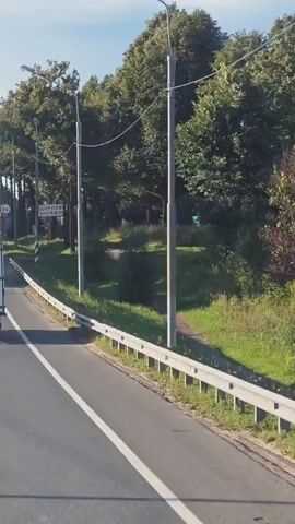 The video shows a road with a metal guardrail on the right side. A signpost with Russian and possibly English text indicating "SHORNOVO" is visible, along with a speed limit sign showing 60. Streetlights line the road, and tall trees with green foliage are present. The sky is blue with some clouds, suggesting daytime. The perspective appears to be from a vehicle moving along the road.