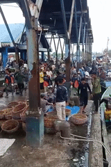 Pier-side fish market in Banda Aceh, baskets and catch in motion.