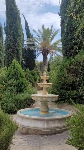 A three-tiered fountain with a light-colored stone basin and a blue pool of water sits in the center of a garden. Tall, slender cypress trees line the sides of the frame, and a palm tree stands behind the fountain. Lush green bushes and foliage surround the fountain and trees, creating a dense, verdant environment. The sky above is partly cloudy. The video shows the fountain and its surroundings from a stationary viewpoint.