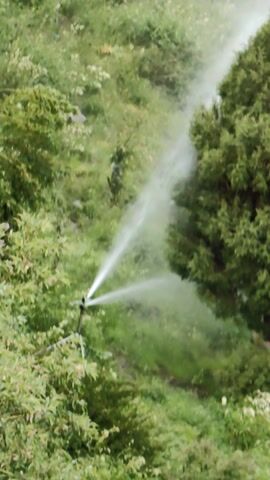 The video shows an aerial view of a lush green landscape with a sprinkler system watering the area. The scene is dominated by dense vegetation, with a large, prominent tree in the center, surrounded by smaller bushes and plants. The sprinkler, positioned near the base of the large tree, emits two streams of water that fan out, creating a misty spray. The ground appears to be a gentle slope, with rocky outcrops and patches of lighter colored vegetation interspersed with the dominant green. The overall impression is of a natural, possibly arid environment being actively irrigated. The lighting suggests it is daytime, likely morning or afternoon, with no strong shadows indicating harsh midday sun. The presence of the sprinkler points to human intervention to support the plant life, possibly in an area with limited natural rainfall. The location context of Gemur, India, suggests a region that might experience dry spells, making irrigation crucial for maintaining greenery. The image evokes a sense of nature thriving with the help of technology, a peaceful and productive scene. There is no visible text in the media file.