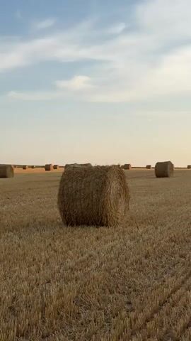 The video shows a wide shot of a harvested wheat field under a sky with wispy clouds. The field is golden brown and covered in stubble, with rows of cut straw visible. Several large, round bales of hay are scattered across the field, some in the foreground and others receding into the distance. The bales are brown and cylindrical. The lighting suggests it is either early morning or late afternoon, with a soft, warm glow. There are no people or animals visible in the video. The overall impression is one of rural tranquility and the end of harvest season.