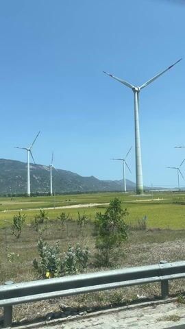 The video shows a scenic landscape from a moving vehicle on a sunny day. Multiple large wind turbines with white towers and white blades tipped in red are visible, spread across green fields that appear to be rice paddies. In the background, a range of mountains rises under a clear blue sky. The wind turbines are actively spinning, indicating a breezy day. Trees and bushes line the foreground, partially obscuring the view, and a silver guardrail is visible at the bottom of the frame, suggesting the vehicle is traveling on a road or highway. The scene conveys a sense of open space and renewable energy in a rural setting in Thuan Bac, Vietnam.