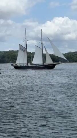 A tall ship with two masts and white sails is sailing on choppy, gray water under a cloudy sky. The ship is dark colored with a red stripe. A logo that says "STAHL" is visible on one of the sails. Another, smaller sailboat is visible to the right of the tall ship. Trees and a distant shoreline are visible in the background. The camera appears to be on another boat moving alongside the tall ship.