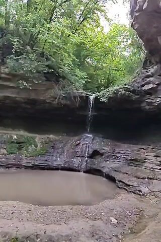 A narrow waterfall cascades over a rock ledge into a shallow pool of murky water. The surrounding environment is lush with green trees and vegetation. The scene appears to be a natural, secluded spot.