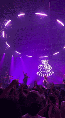 Free Nationals performs live concert in Seoul with enthusiastic crowd