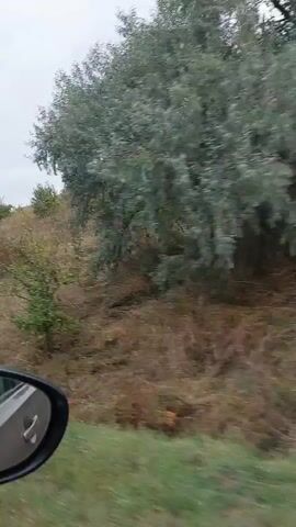 The video shows a side view from inside a moving vehicle. The camera is angled slightly upwards, capturing a dry, grassy hillside dotted with sparse trees and bushes. The sky is overcast with clouds. A car's side mirror is visible in the lower left corner of the frame, reflecting a sliver of the interior of the car. The overall impression is of a rural, possibly arid landscape during daytime.