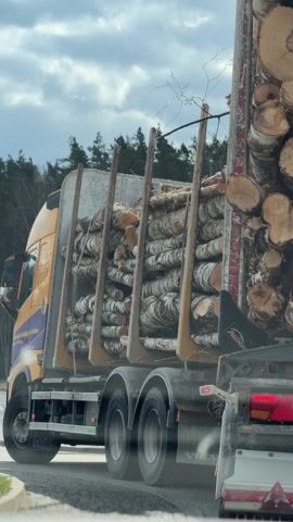 The video shows a Volvo logging truck driving on a road. The truck is heavily loaded with freshly cut birch logs, stacked high and secured with vertical stakes. A crane mechanism is visible on the truck's bed, likely used for loading and unloading the logs. The trees are light in color and appear to be recently harvested. The environment suggests a rural or semi-rural area with trees visible in the background and an overcast sky. The footage is taken from inside a moving vehicle.