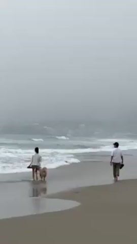 A woman walks her golden retriever along the shoreline of a beach while a man walks along the sand away from them. It is a foggy day. The woman is wearing light colored clothing. The man is wearing a white t-shirt and dark pants. He is carrying his shoes. The waves are small. Buildings are visible in the background but obscured by fog.