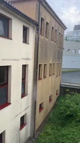 The video shows two adjacent buildings with cream-colored and beige-colored facades, respectively, during a rain shower. Water is visibly streaming down the drainpipe between the two buildings, and raindrops are falling. Both buildings have multiple windows with red sills. Lush green foliage is visible at the bottom right of the frame. In the background, part of a modern building with a curved roof and a fence can be seen.