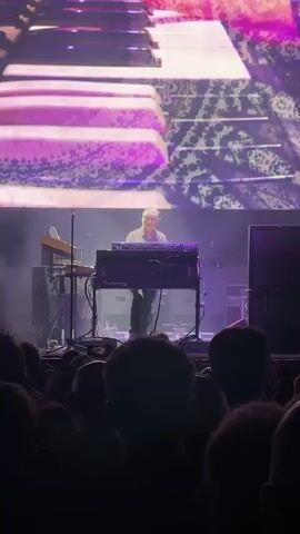 A concert scene shows a man playing a Hammond organ on a stage. He is wearing a light-colored shirt and dark pants. Behind him, a large screen displays an animated graphic of piano keys. The stage is lit with purple and white lights. In the foreground, the backs of the heads of audience members are visible.