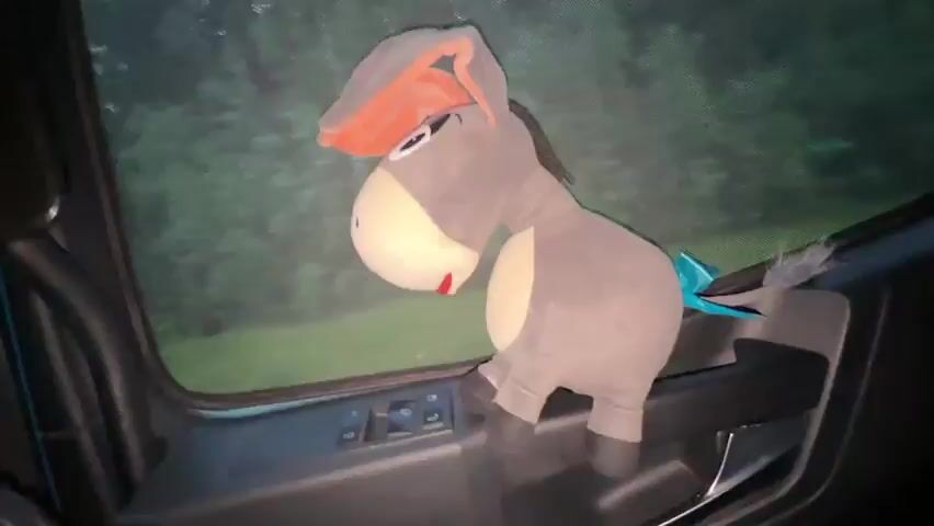 A stuffed donkey toy with orange ears and a blue tail is positioned inside a vehicle, resting on a surface that appears to be the dashboard or center console. The toy is gray with white and red accents on its face. Through the window behind the toy, a blurred background of trees and foliage suggests the vehicle is in motion or parked near a wooded area. The lighting is dim, indicating it may be dusk or nighttime. The interior of the vehicle is dark, with some visible buttons or controls on the dashboard. The camera angle is low and seems to be from the perspective of someone sitting in the passenger seat, looking towards the driver's side and the window. The toy is the primary focus of the shot.