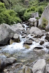 Witness documents Himalayan wilderness landscapes in Bahang, India