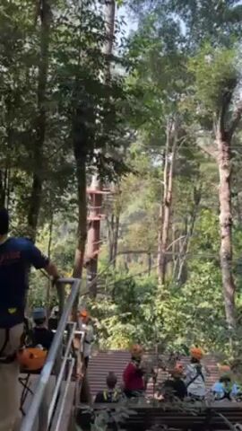 The video shows a group of people, some wearing helmets, standing on a wooden platform in a forest. A man in a blue shirt with a logo and a harness is standing at the edge of the platform, looking towards a series of structures built in the trees. These structures appear to be part of a treetop adventure course, with rope bridges and platforms connecting the trees. The trees are tall and lush, creating a dense canopy above the platform. The general atmosphere appears to be one of anticipation and excitement as people prepare to engage in the treetop adventure.
