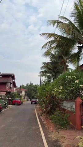 The video shows a narrow asphalt road winding through a residential area, bordered by trees and houses. The sky is partly cloudy. Palm trees and various bushes grow along the side of the road. Several houses are visible on either side, some with red-tiled roofs. Cars and motorcycles are parked along the road. As the camera moves, three dogs appear. One is a light tan color, and the other two are brown and white. The dogs stand in the middle of the road. The camera then pans to a partially constructed brick building with wooden supports. Piles of bricks and lumber are scattered around the building.
