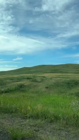A video shot from a moving vehicle shows a vast, rolling green landscape under a bright blue sky with scattered white clouds. The foreground consists of a dirt road or path. The landscape is covered in lush green grass, with some taller grasses and wildflowers visible. In the distance, a large, rounded hill or mountain rises gently from the plain. The overall impression is one of a serene, open, and natural environment. No people or animals are visible.